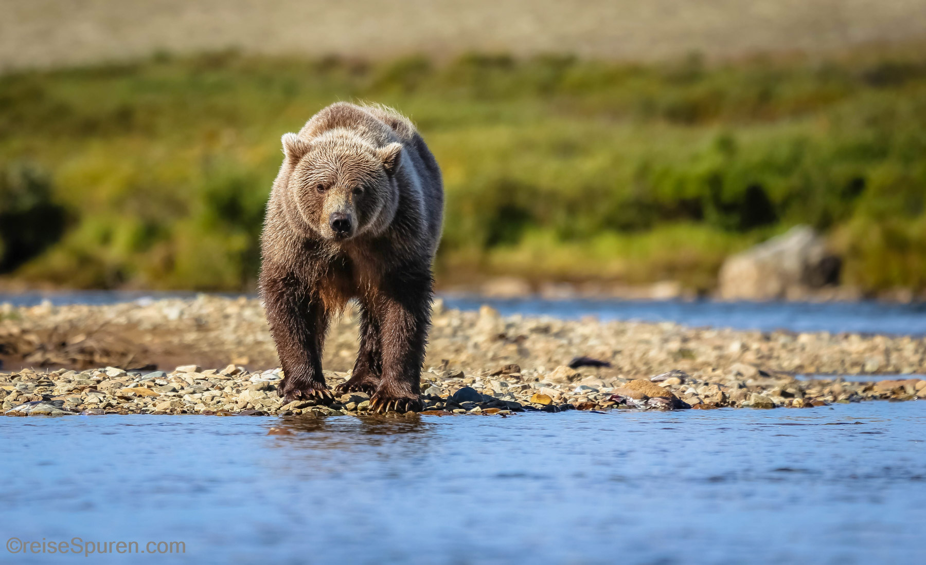 Alaska