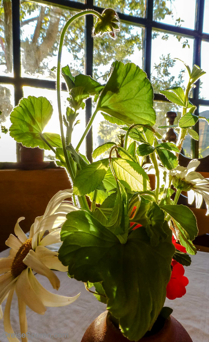 Blumen