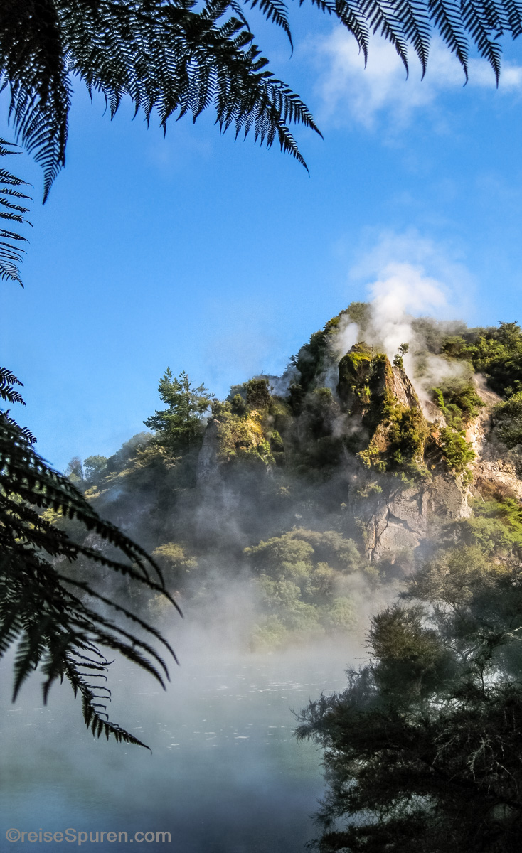 Waimangu Volcanic Valley