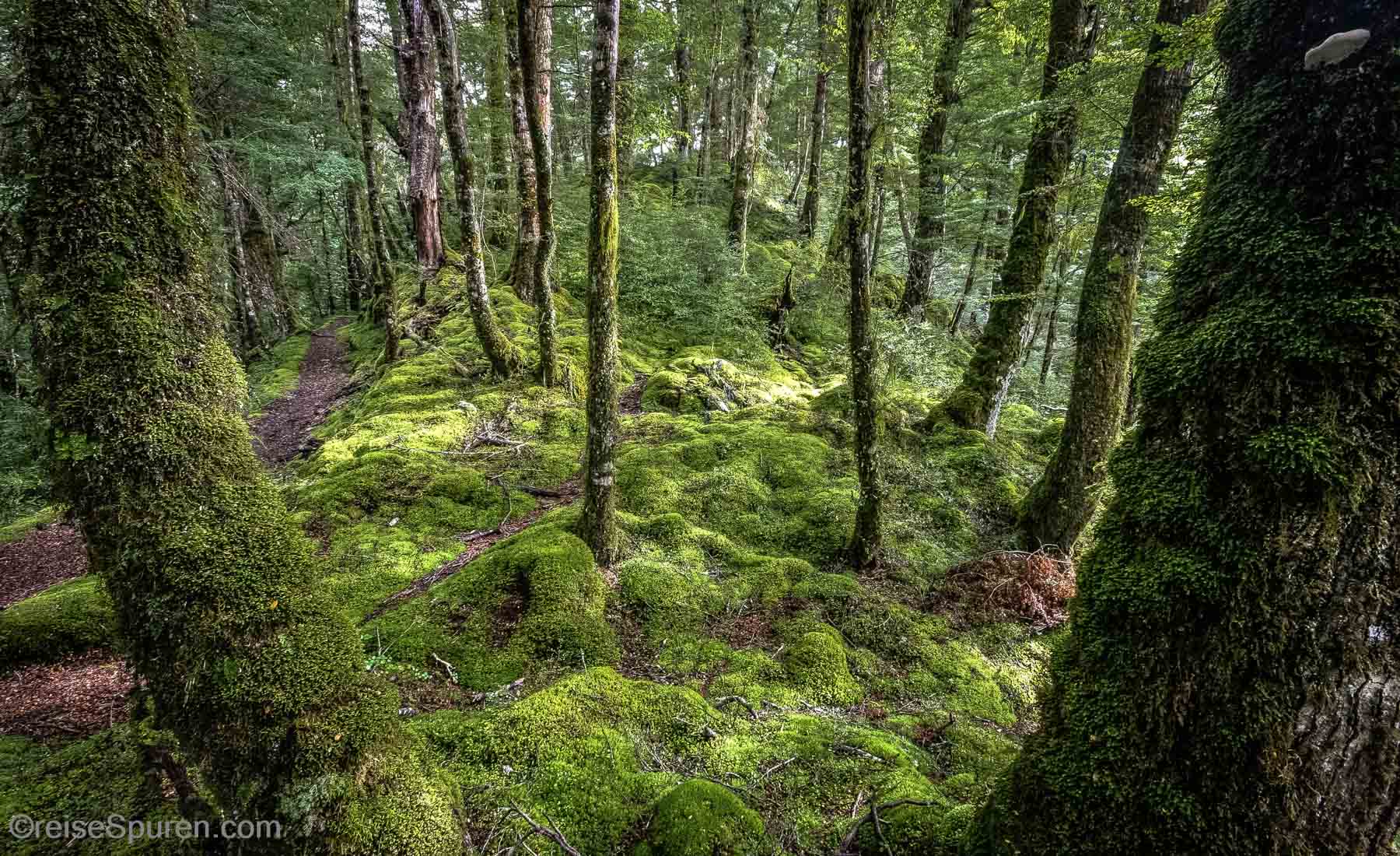 Kepler Track - Rainbow Reach