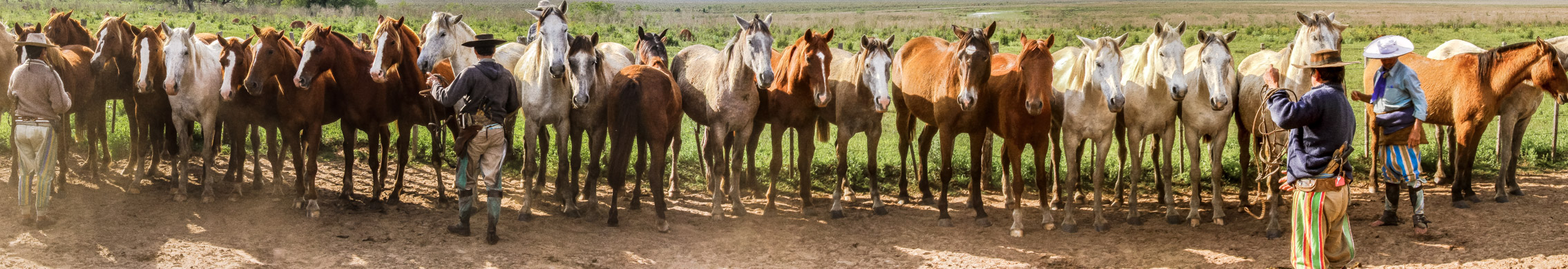 Gauchos beim Pferdewechsel