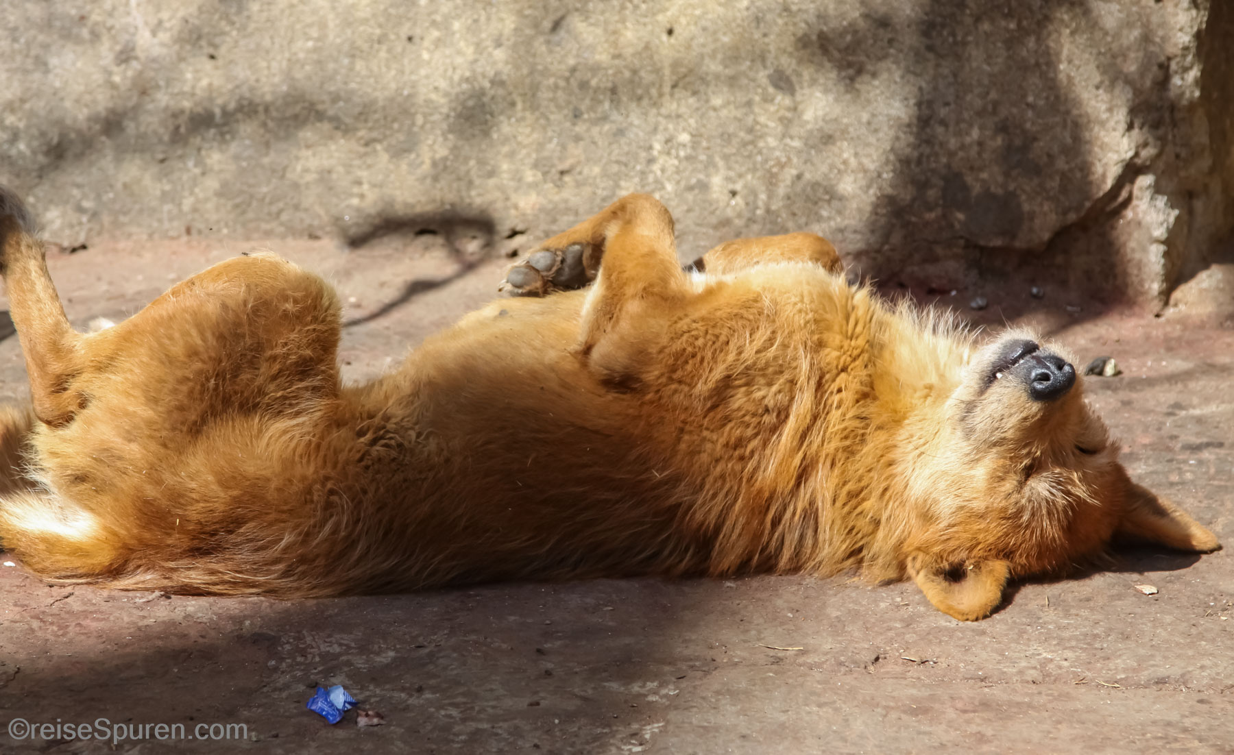 Das letzte Bonbon war zu viel!